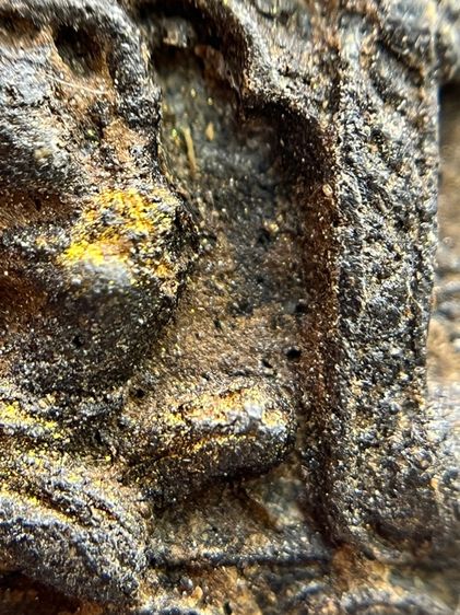 พระหลวงปู่ทวดเนื้อว่าน 108 หลังเจดีย์ พุทธคุณ แคล้วคลาด คุ้มครอง ป้องกันภัย เดินทางปลอดภัย เมตตามหานิยม เสริมโชคลาภ(118) รูปที่ 14