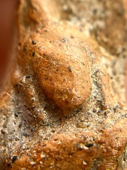 นางพญา พิมพ์เข่าโค้ง กรุนครไทย พิษณุโลก 2 หน้า(123) รูปที่ 11