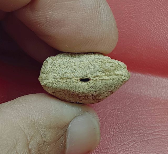 พระสังกัจจายน์วัดประสาทบุญญาวาสปี 2506 เนื้อขาว รูปที่ 3