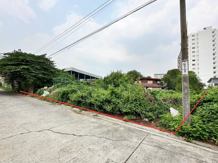 ใช่ ขายที่ดิน เพชรเกษม73 เนื้อที่ 126 ตร.ว.