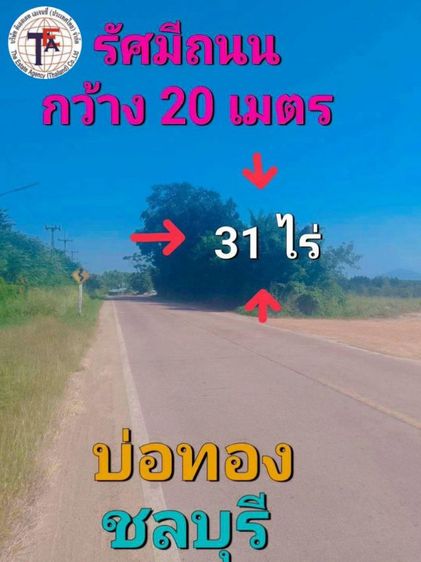 ใช่ ขายที่ดิน ทำเลดี ราคาพิเศษ บ่อทอง ชลบุรี ติดถนนเจริญโชค รูปที่ 3