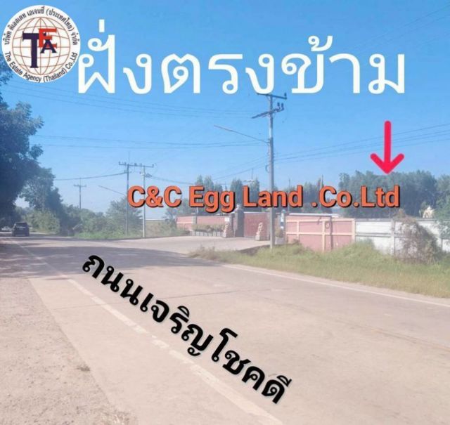 ใช่ ขายที่ดิน ทำเลดี ราคาพิเศษ บ่อทอง ชลบุรี ติดถนนเจริญโชค รูปที่ 2