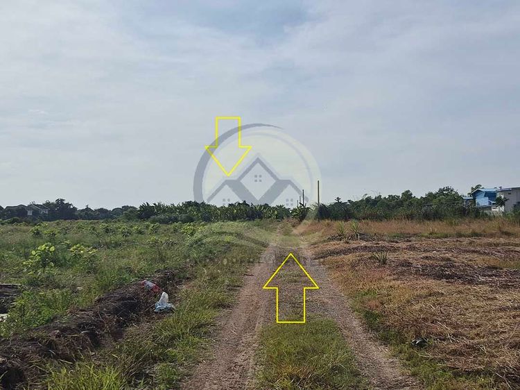 ขาย ที่ดินเปล่า 533 ตร.ว. ซ.บึงบอน 11 ถนน รังสิต-นครนายก  ปทุมธานี  รูปที่ 3