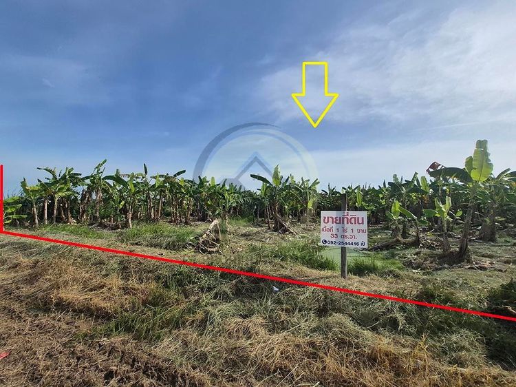 ขาย ที่ดินเปล่า 533 ตร.ว. ซ.บึงบอน 11 ถนน รังสิต-นครนายก  ปทุมธานี  รูปที่ 2