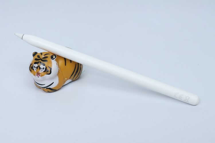 Apple Pencil รุ่น 2 - ID25110316 รูปที่ 3