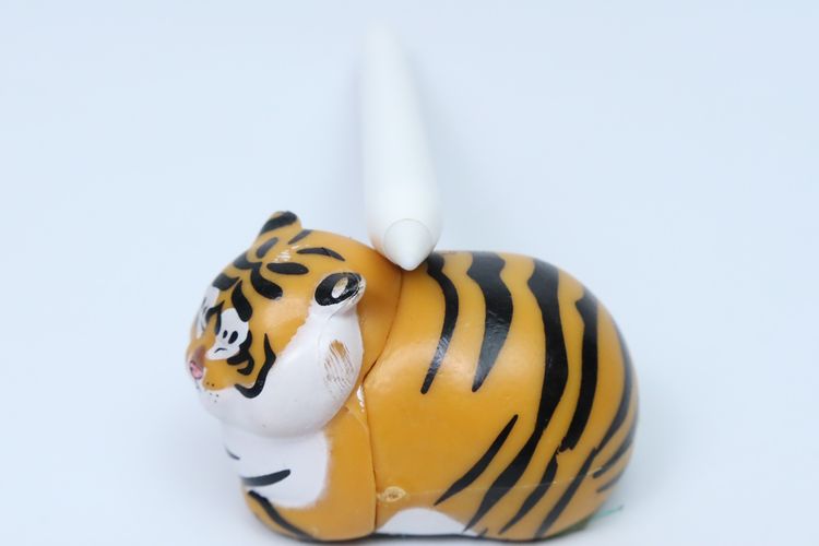 Apple Pencil รุ่น 2 - ID25110316 รูปที่ 5