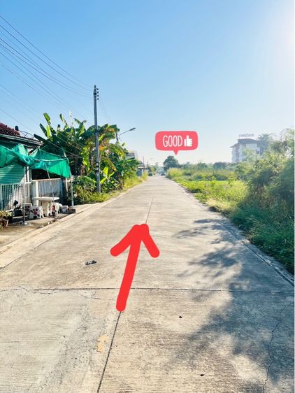 ไม่ใช่ เจ้าของขายเอง คลอง4 ลำลูกกา 600 ตรว. รูปที่ 2