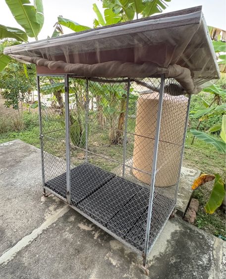 กรงเหล็กหนามีประตูเปิดล็อคได้ มีล้อ พร้อมแผ่นรองพื้น หลังคาบุ PE    และ มุ้งตาข่ายรอบกรง มือ 2  กว้างxยาวxสูง (104x185x180) ซม.  รูปที่ 2