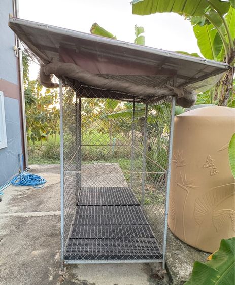กรงเหล็กหนามีประตูเปิดล็อคได้ มีล้อ พร้อมแผ่นรองพื้น หลังคาบุ PE    และ มุ้งตาข่ายรอบกรง มือ 2  กว้างxยาวxสูง (104x185x180) ซม.  รูปที่ 3