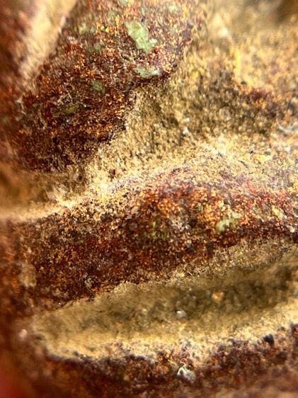 พระปิดตาพิมพ์หลังแบบหลวงพ่อแก้ว(133) รูปที่ 10