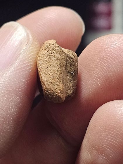 พระรอด รูปที่ 6