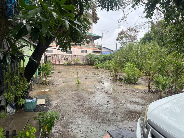 ขายที่ดินถมแล้ว พร้อมปลูกบ้าน ราคาไม่ถึงล้าน ซื้อลงทุนหรืออยู่อาศัยก็คุ้ม ต.บางขะแยง จ.ปทุมธานี รูปที่ 2