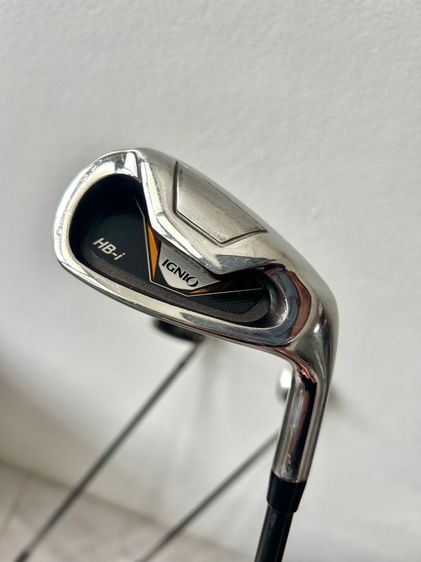 กอล์ฟ เหล็กมือใหม่ Ignio 