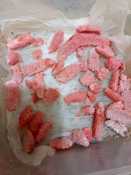 หอยเชอรี่สีทอง รูปที่ 4