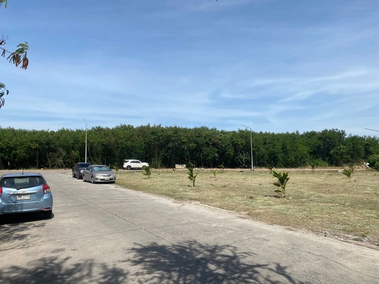 ขายที่ดิน ใกล้โรงพยาบาลมะเร็ง ชลบุรี ติดถนน 2 ฝั่ง