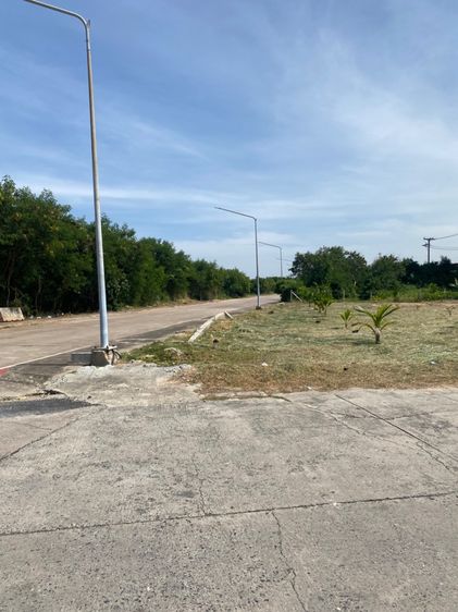 ขายที่ดิน ใกล้โรงพยาบาลมะเร็ง ชลบุรี ติดถนน 2 ฝั่ง รูปที่ 4