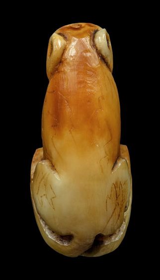 เสือหลวงพ่อปาน รูปที่ 8