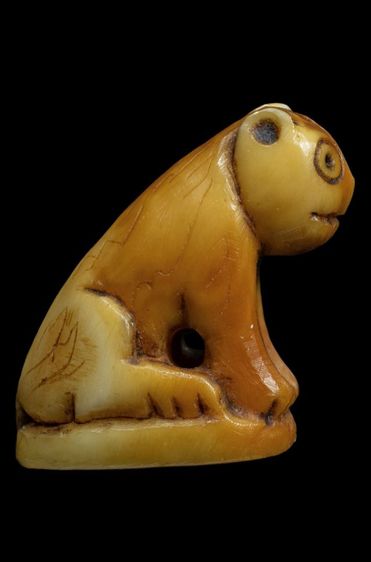 เสือหลวงพ่อปาน รูปที่ 5