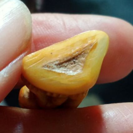 เครื่องรางแกะสลัก รูปที่ 3