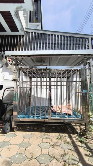 กรงสุนัขขนาดใหญ่สแตนเลสอย่างดีหนามีหลังคามีไฟพัดลม รูปที่ 3