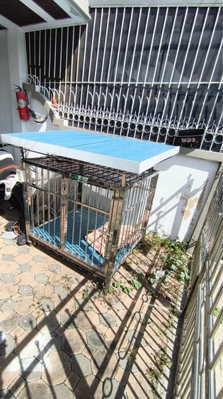 กรงสุนัขขนาดใหญ่สแตนเลสอย่างดีหนามีหลังคามีไฟพัดลม รูปที่ 2