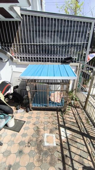 กรงสุนัขขนาดใหญ่สแตนเลสอย่างดีหนามีหลังคามีไฟพัดลม รูปที่ 4