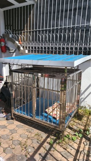 กรงสุนัขขนาดใหญ่สแตนเลสอย่างดีหนามีหลังคามีไฟพัดลม รูปที่ 10