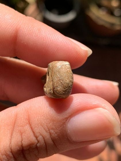 พระรอด รูปที่ 5