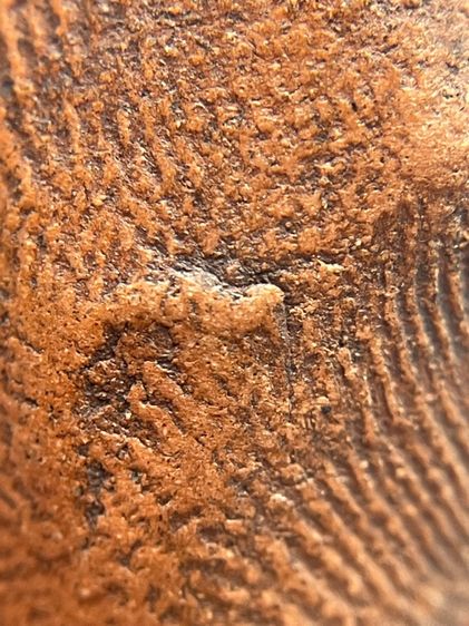 พระรอดใบโพธิ์ พระรอดมหาวัน พิมพ์ใบโพธิ์ พิเศษของพิมพ์ทรงอย่างมาก ซึ่งจะเรียกพระพิมพ์นี้ว่า พระรอดพิมพ์ใบโพธิ์ รูปที่ 15