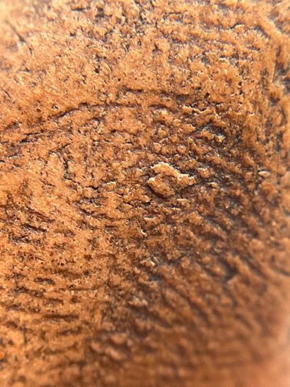 พระรอดใบโพธิ์ พระรอดมหาวัน พิมพ์ใบโพธิ์ พิเศษของพิมพ์ทรงอย่างมาก ซึ่งจะเรียกพระพิมพ์นี้ว่า พระรอดพิมพ์ใบโพธิ์ รูปที่ 16