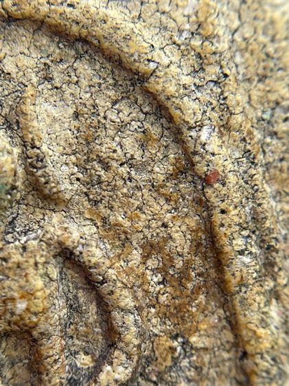 พระสมเด็จพิมพ์เกศไชโย 7 ชั้น เนื้อเก่าสวยสุดสุด รูปที่ 5