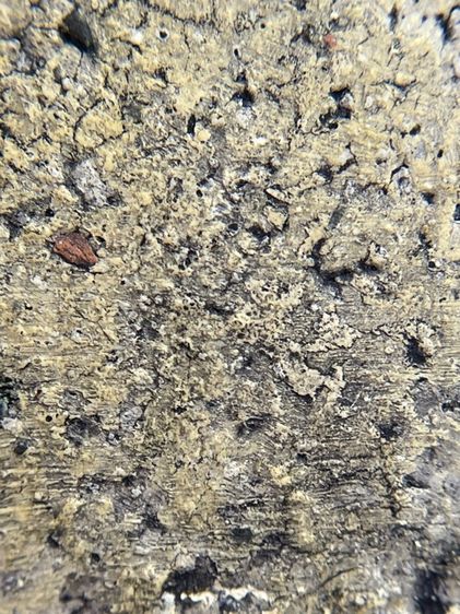 พระสมเด็จพิมพ์เกศไชโย 7 ชั้น เนื้อเก่าสวยสุดสุด รูปที่ 15