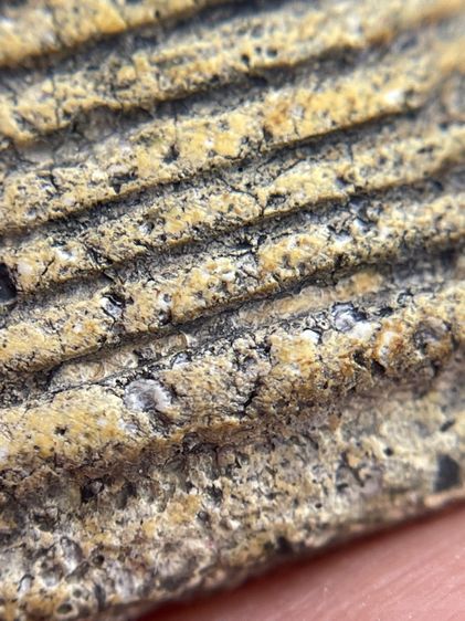 พระสมเด็จพิมพ์เกศไชโย 7 ชั้น เนื้อเก่าสวยสุดสุด รูปที่ 9