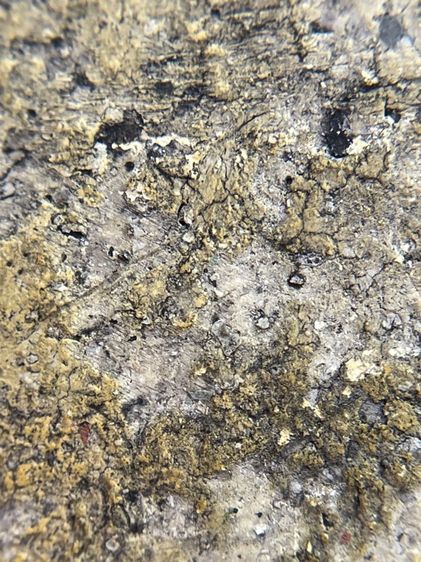 พระสมเด็จพิมพ์เกศไชโย 7 ชั้น เนื้อเก่าสวยสุดสุด รูปที่ 14