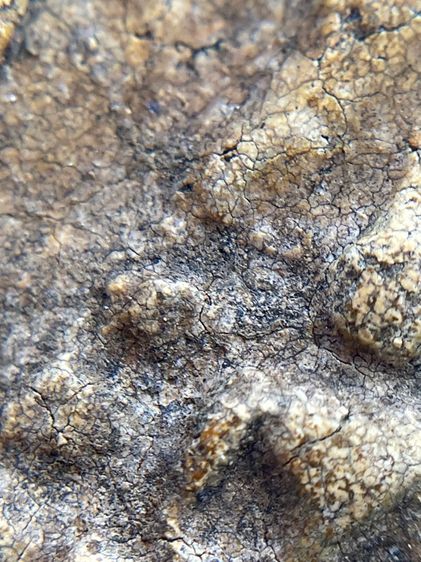 พระสมเด็จวัดระฆังพิมพ์เจดีย์แหวกม่าน เนื้อเก่าเก่า รูปที่ 9