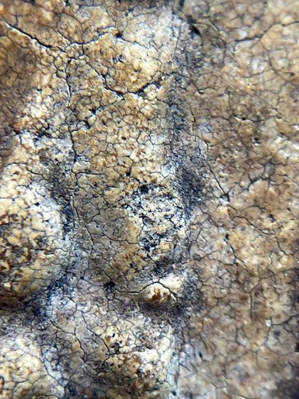 พระสมเด็จวัดระฆังพิมพ์เจดีย์แหวกม่าน เนื้อเก่าเก่า รูปที่ 10