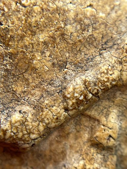 พระสมเด็จวัดระฆังพิมพ์เจดีย์แหวกม่าน เนื้อเก่าเก่า รูปที่ 13