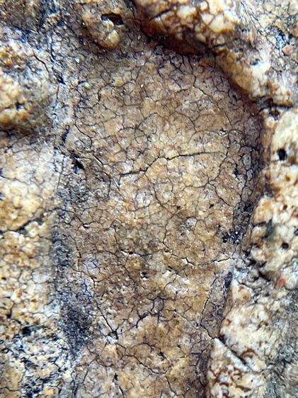 พระสมเด็จวัดระฆังพิมพ์เจดีย์แหวกม่าน เนื้อเก่าเก่า รูปที่ 11