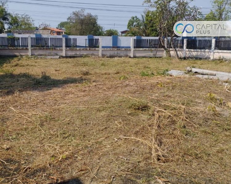 ขายที่ดินลาดหลุมแก้ว 123.1 ตร.ว ขายที่ดินหมู่บ้านวนาสิริ รูปที่ 4