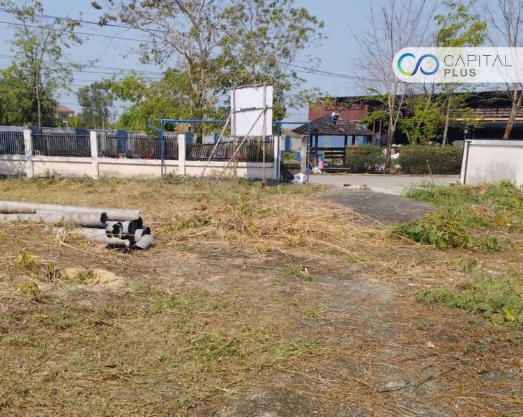 ขายที่ดินลาดหลุมแก้ว 123.1 ตร.ว ขายที่ดินหมู่บ้านวนาสิริ รูปที่ 3