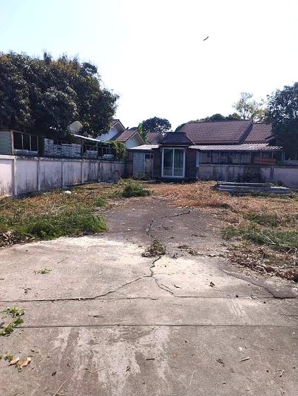 ขายที่ดินลาดหลุมแก้ว 123.1 ตร.ว ขายที่ดินหมู่บ้านวนาสิริ