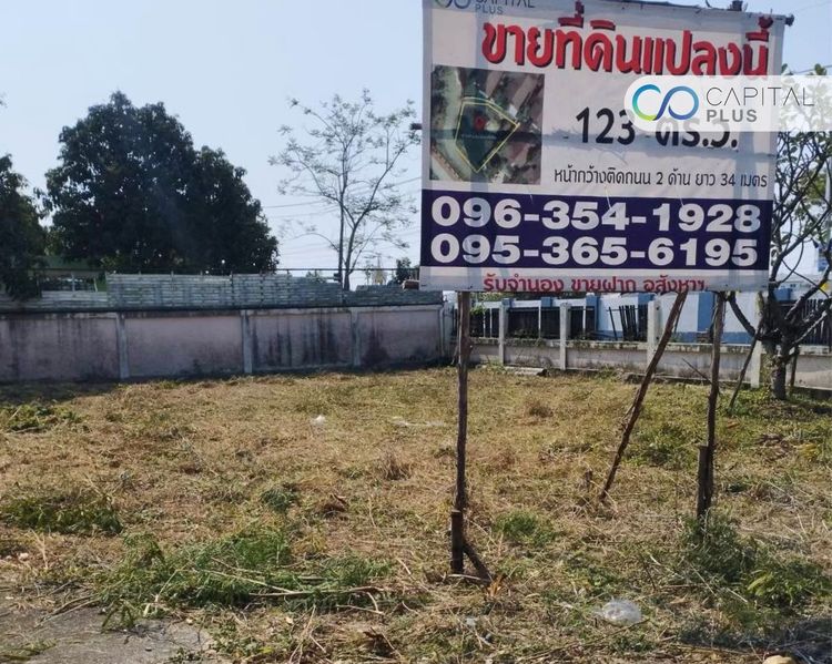 ขายที่ดินลาดหลุมแก้ว 123.1 ตร.ว ขายที่ดินหมู่บ้านวนาสิริ รูปที่ 2