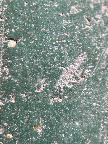 พระสมเด็จพิมพ์พระชินนราชเนื้อสีเขียว รูปที่ 12