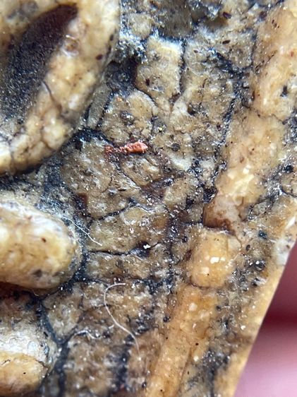 พระสมเด็จวัดระฆังพิมพ์เจดีย์เนื้อเทียนชัยเนื้อเก่าสวย รูปที่ 10