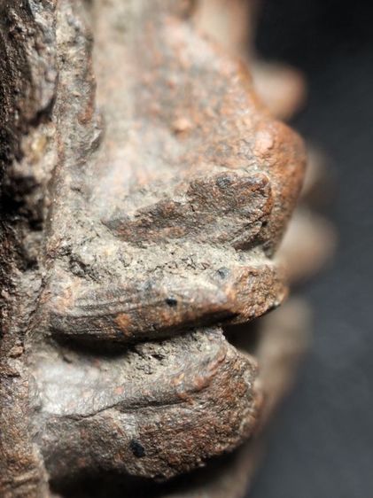 ❌ปิดครับ❌พระรอดลำพูนพิมพ์ใหญ่เนื้อเขียวหินครกคราบแดงครับ รูปที่ 13