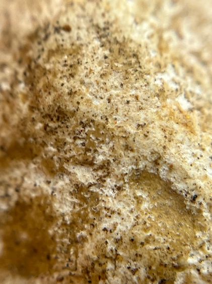 พระกรุวัดพลับ พิมพ์ตุ๊กตาเล็ก(131) รูปที่ 10