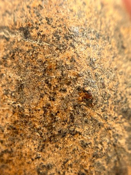 พระกรุวัดพลับ พิมพ์ตุ๊กตาเล็ก(131) รูปที่ 17