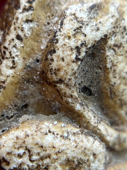 พระกรุวัดพลับ พิมพ์ตุ๊กตาเล็ก(131) รูปที่ 13