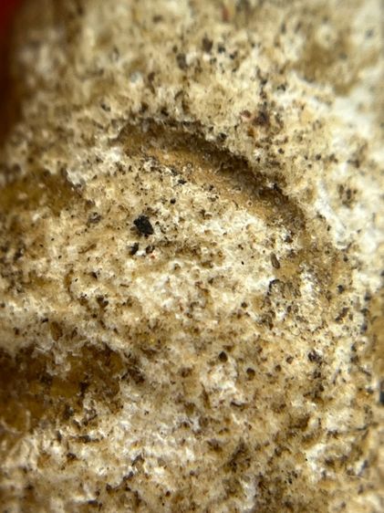 พระกรุวัดพลับ พิมพ์ตุ๊กตาเล็ก(131) รูปที่ 14