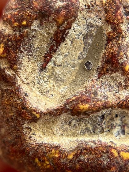 พระปิดตาหลวงพ่อแก้วพิมพ์หลังแบบ(135) รูปที่ 10